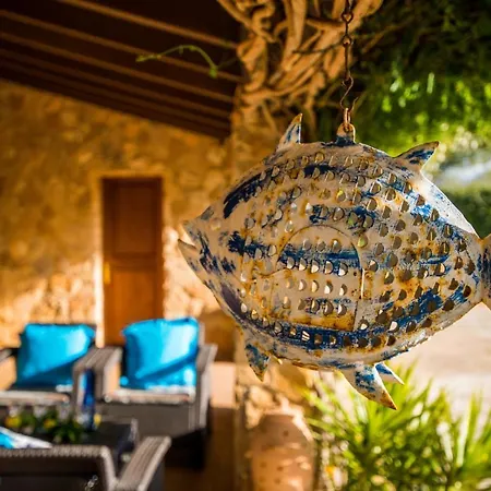 Ideal Mallorca - Sa Vinya Vella