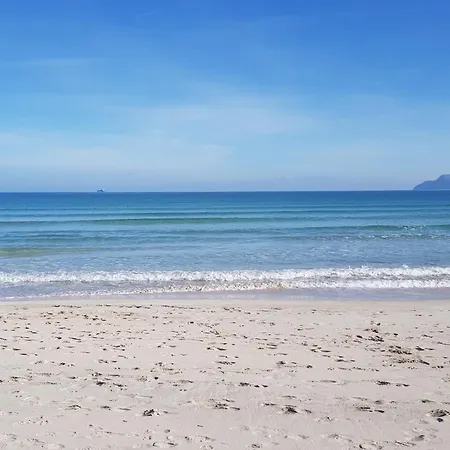 Ideal Mallorca - Sa Vinya Vella *